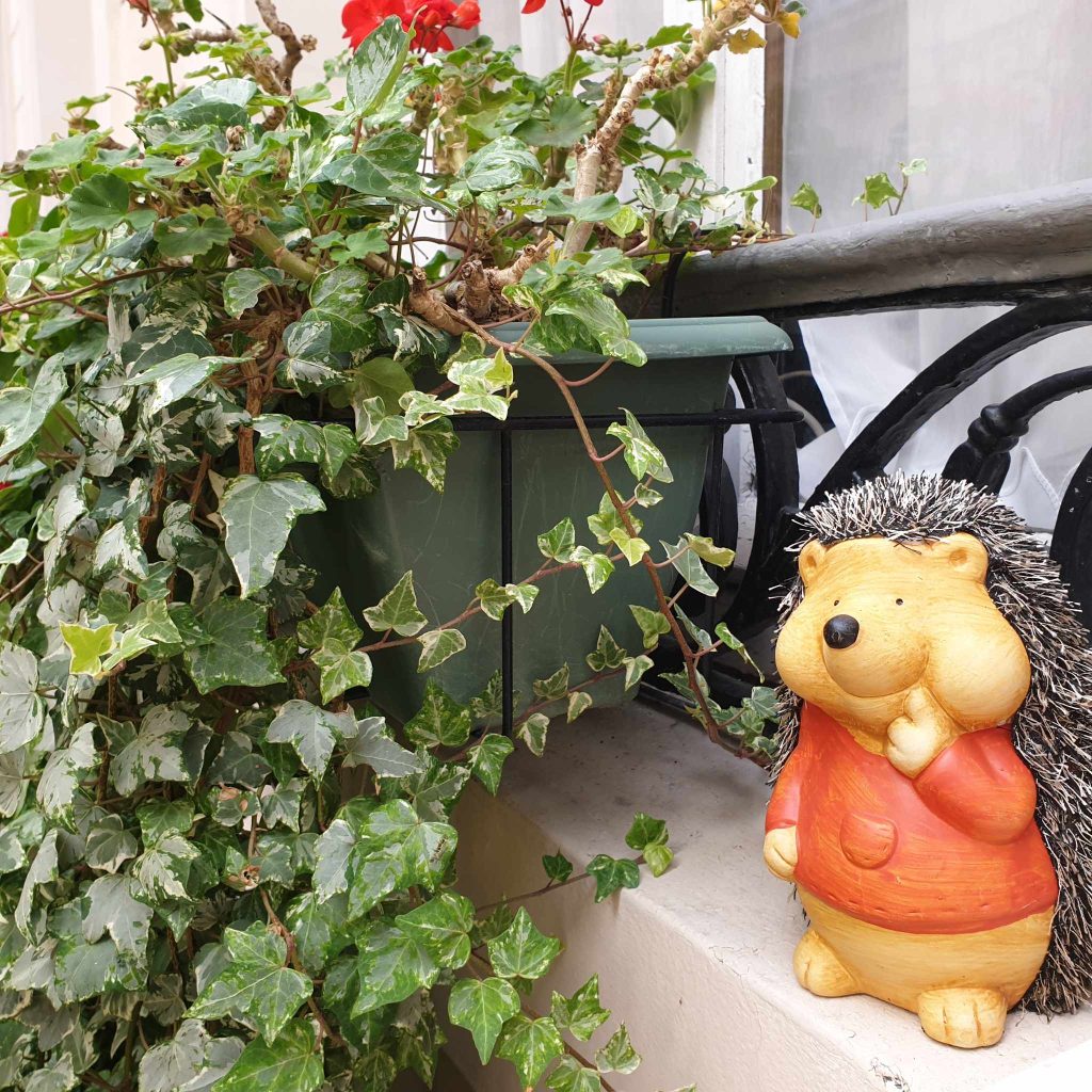 Jesień w naszej Szkole.